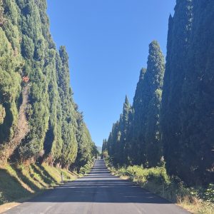 viaggiare